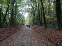 2016-10-21 Les coteaux de Lardy 0047